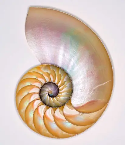 پنکه دستی شارژی